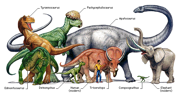 Big, old dinosaurs break a lot of china